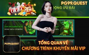 Tổng Quan Về Chương Trình Khuyến Mãi VIP